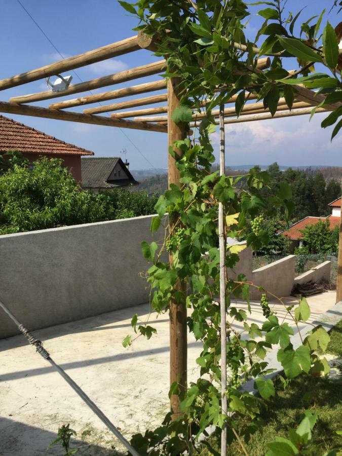 Vale Coelhos Casa De Campo Sarnadela Экстерьер фото